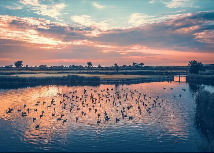 Club Del Sole Tenuta Primero Lägenhetshotell Grado